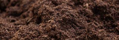 Home Compostable Packaging