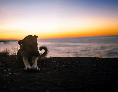 You Should Stretch More