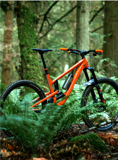 PNW - LOAM GRIPS